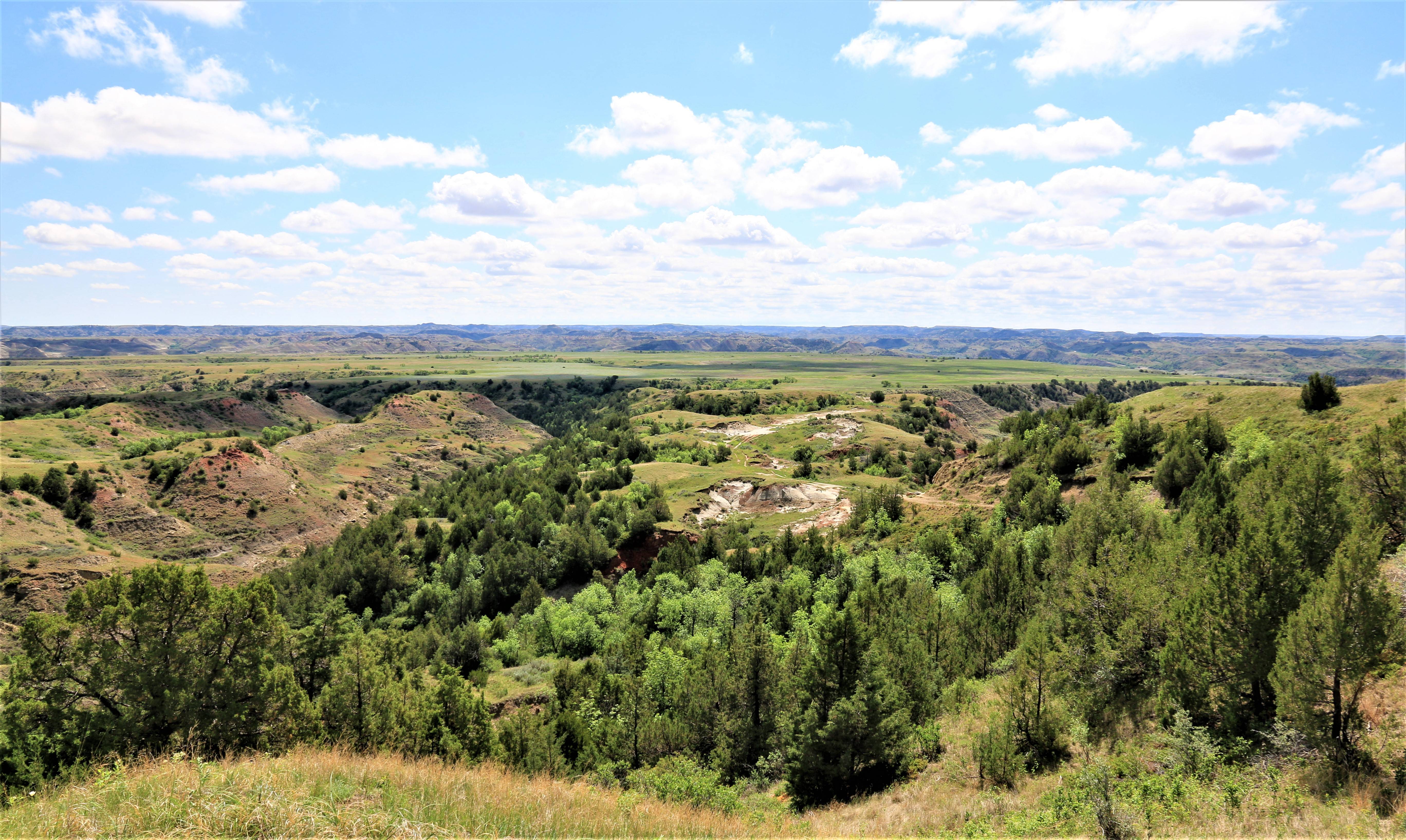 Theodore Roosevelt NP